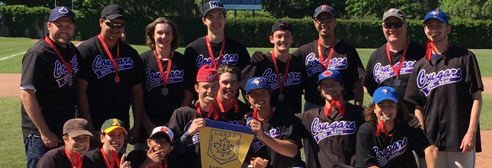 Male baseball team wearing medals